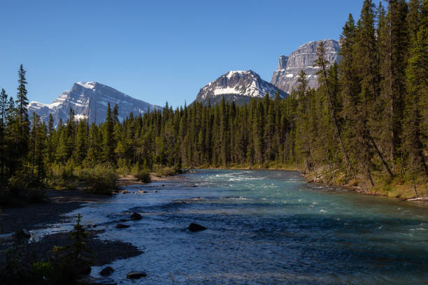 istock Glacier River in Banff 1025213960