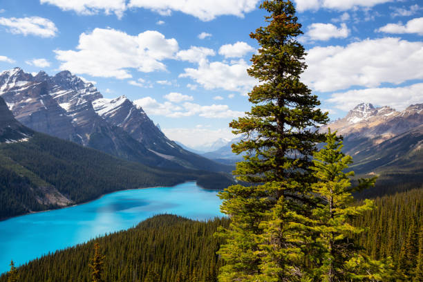 istock Peyto Lake, Banff National Park 1025214100