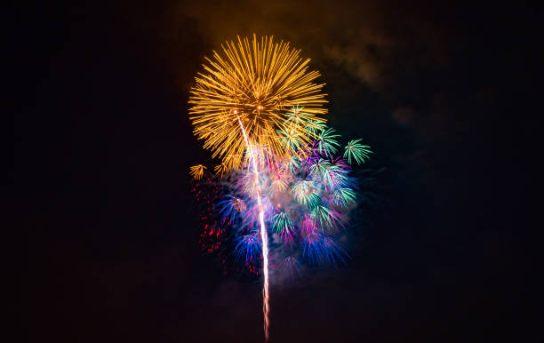 istock Fireworks in Nagaoka 1025214256