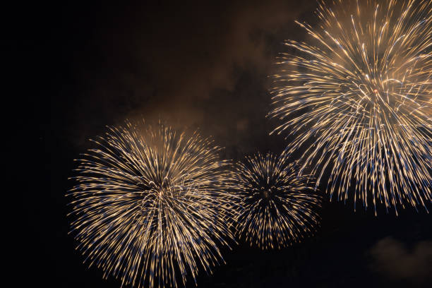 istock Fireworks in Nagaoka 1025214278