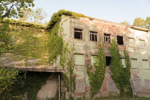 istock Abandoned houses invaded the plants 1025216454