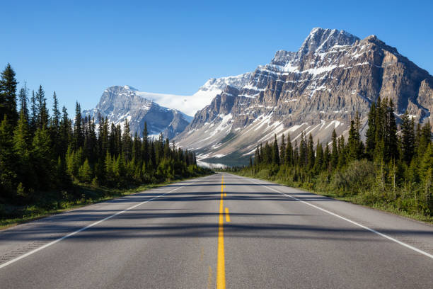 road in banff national park - bow lake imagens e fotografias de stock