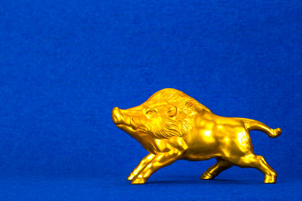 istock golden wild boar 1025221876