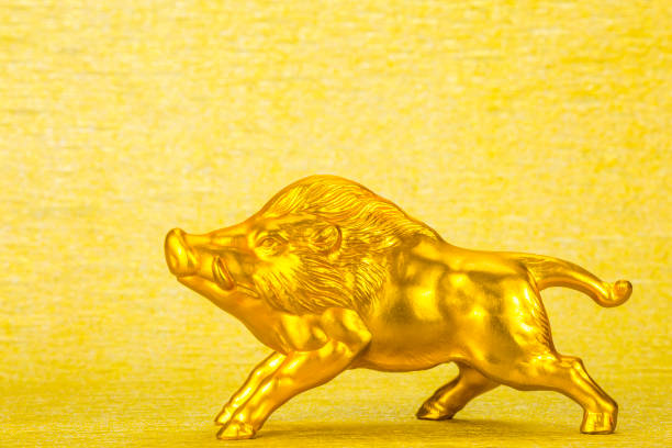 istock golden wild boar 1025221880