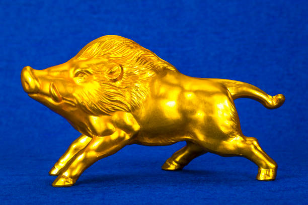 istock golden wild boar 1025221884