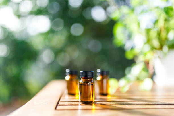 istock Aromatic oil and green background 1025221908