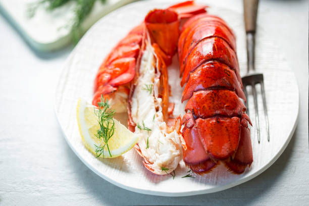 caudas de lagosta cozida com limão e endro - lobster prepared shellfish meal seafood - fotografias e filmes do acervo