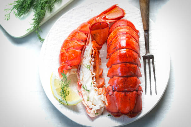 Cooked lobster tails with lemon & dill Cooked lobster tails with lemon & dill tail fin stock pictures, royalty-free photos & images