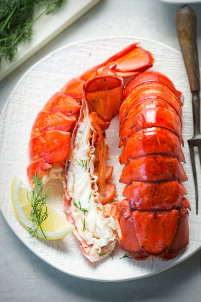 Cooked lobster tails with lemon & dill Cooked lobster tails with lemon & dill tail fin photos stock pictures, royalty-free photos & images