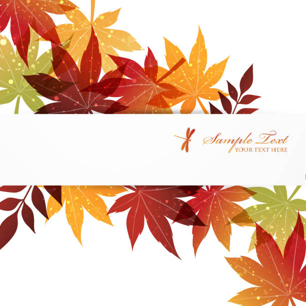 ilustrações, clipart, desenhos animados e ícones de fundo de folhas de vermelho - autumn leaf isolated white background