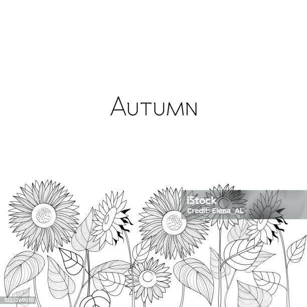 Autumn Card Of Sunflowers Black And White Vector Illustration Stock Illustration - Download Image Now