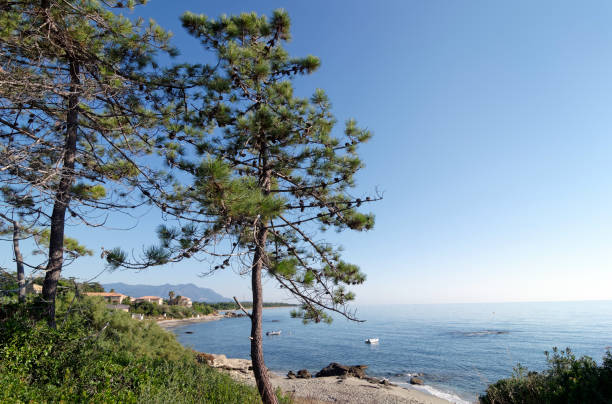 Beach of Bravone  in eastern coast of Corsica