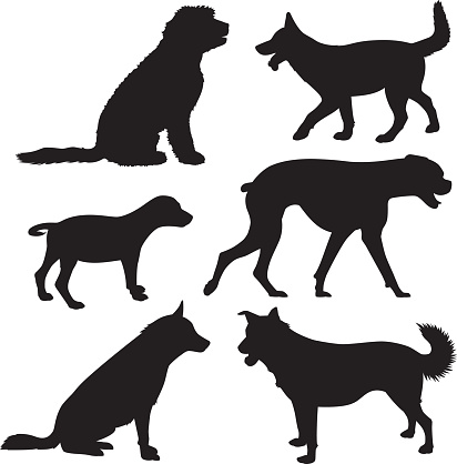 Vector silhouettes of a group of dogs.