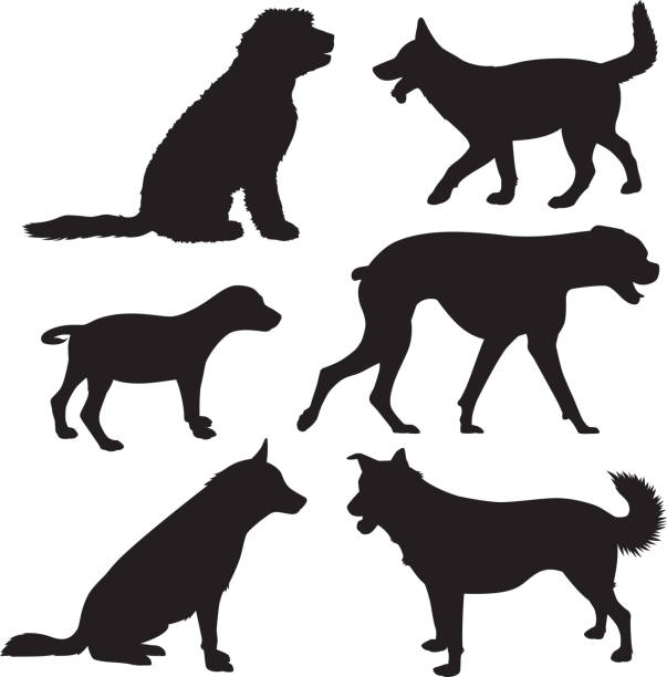 Dog Silhouettes 8 Vector silhouettes of a group of dogs. shaggy fur stock illustrations