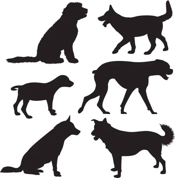 Vector illustration of Dog Silhouettes 8