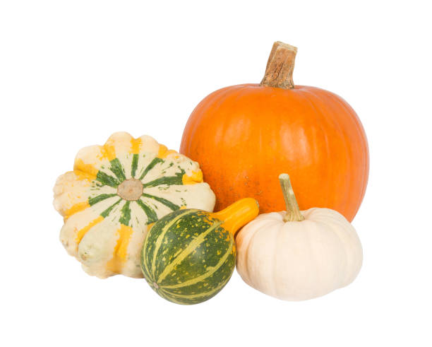 istock Four pumpkins of a different form 1025289418