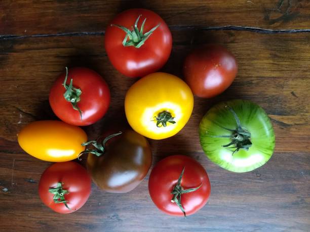 istock Fresh colorful tomatoes - different varieties and different colors - on wooden table 1025291630