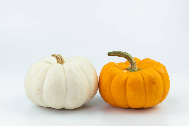 istock Halloween Pumpkin isolated on white background 1025299024