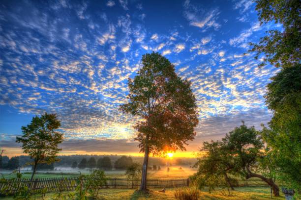 istock sweet sunrise 1025299156