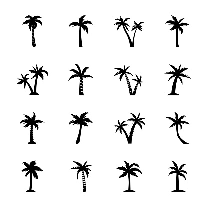 The perennial trees in this pack are from decorative, flowering, fruit bearing and shady palms. The palm icons designs in the set are designed using Palm as the main element with minor changes making each tree different from another. The enormous diversity of palm trees in this set makes this pack worth grabbing for your collection.