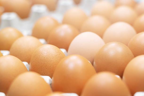 istock close up whole eggs in box. Chicken egg many. soft focus 1025327806