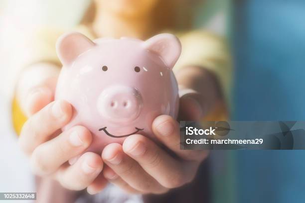 Female Hand Holding Piggy Bank Save Money And Financial Investment Stock Photo - Download Image Now