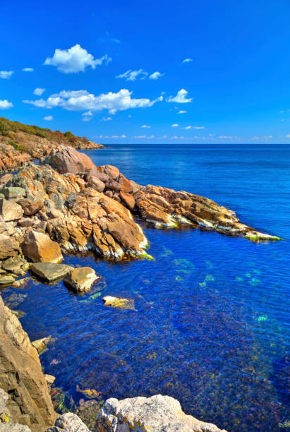 istock Landscape on rocky shore 1025335388