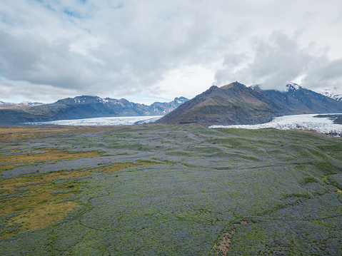 Drone aerial view of Lupine flowers and glacier Vatnajokull and mountains in Iceland