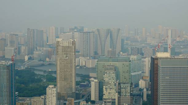 istock Aerial view over megacity Tokyo 1025339328