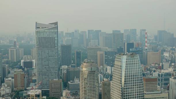 istock Aerial view over megacity Tokyo 1025339412