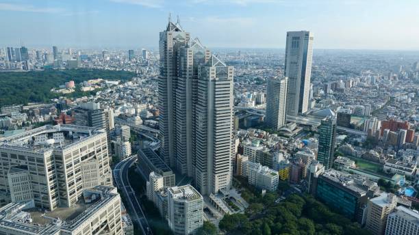 istock Aerial view over megacity Tokyo 1025341628