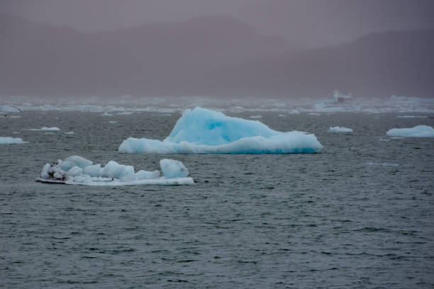 istock Icebergs from Columbia Glacier 1025358576