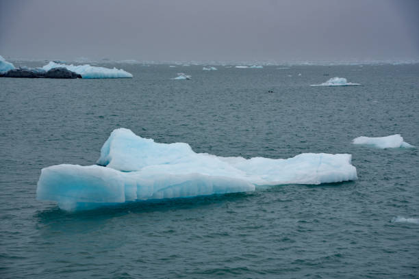 istock Icebergs from Columbia Glacier 1025358592
