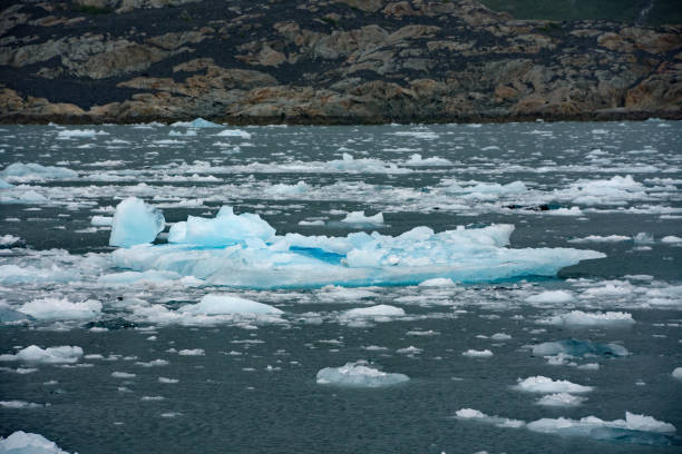 istock Icebergs from Columbia Glacier 1025358640