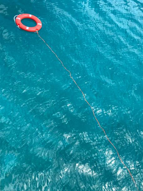 istock Lifebuoy in the sea 1025358744