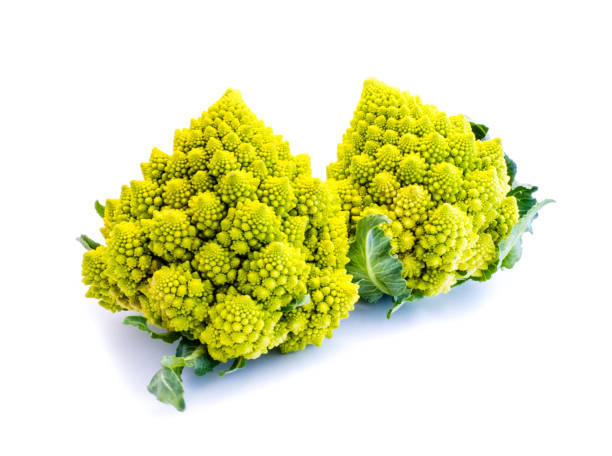 istock Two green romanesco cauliflowers isolated on white background 1025369480