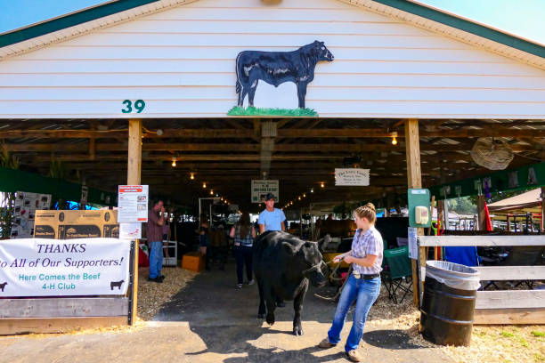 dutchess county fair. - alexander farnsworth bildbanksfoton och bilder