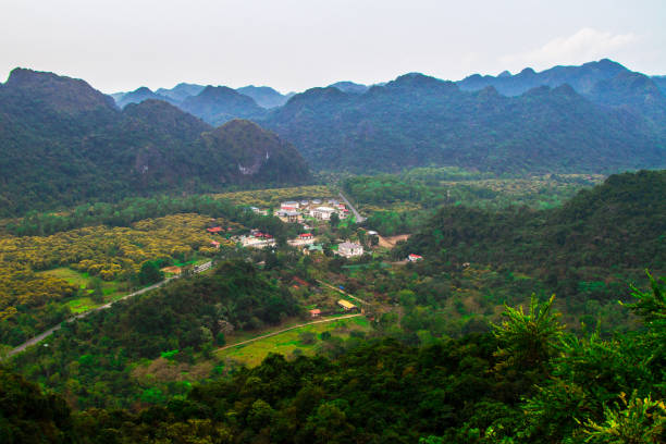 istock Cat Ba National Park, Vietnam 1025372910