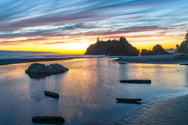 istock Exploring the Olympic National Park 1025381224