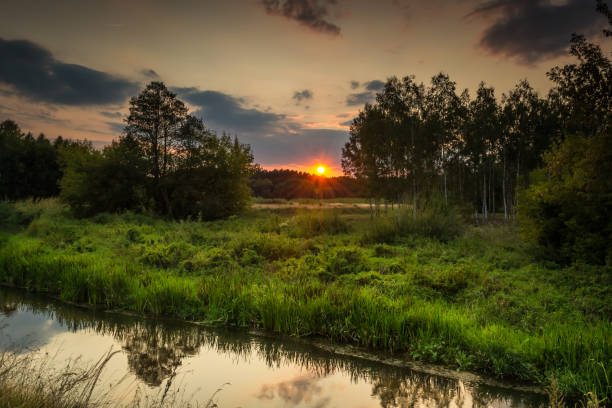 istock Summer landscape over a wild river 1025387050