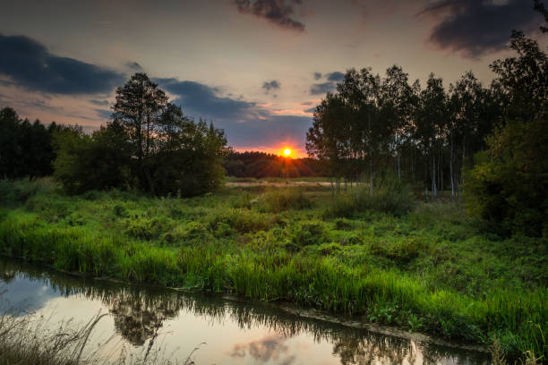 istock Summer landscape over a wild river 1025389438