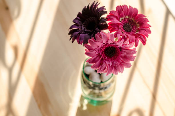 istock Beautiful artificial flowers on wooden background 1025389896