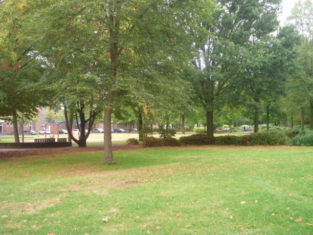 istock Superb summer park luxuriant foliage 1025394772
