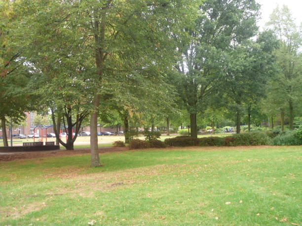 istock Superb summer park luxuriant foliage 1025402254