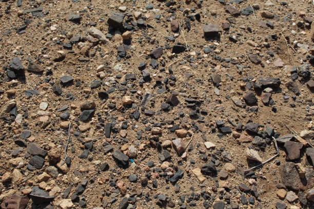 istock MINERAL ENVIRONMENT JOSHUA TREE NATIONAL PARK RMT 1025410966