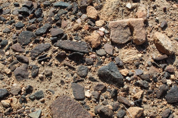 istock MINERAL ENVIRONMENT JOSHUA TREE NATIONAL PARK RMT 1025410968