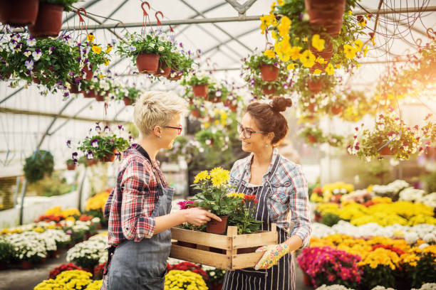 istock Two beautiful florists are helping each other to select the best flowers. 1025414024