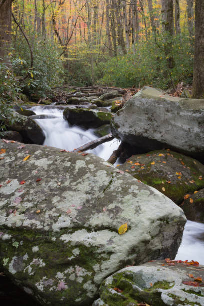 istock Big lichen covered rocks in a flowing creek in autumn 1025420062