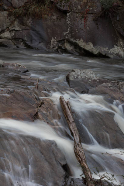deadfall журнал через валуны в быстро движущихся горный поток - great smoky mountains national park стоковые фото и изображения