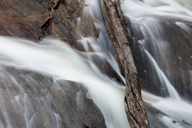 deadfall войти через скалы и бросаясь реки в грейт-смоки-маунтинс - waterfall great smoky mountains great smoky mountains national park tennessee стоковые фото и изображения